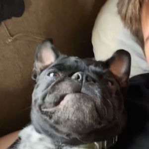 Meet your Posher, Kyan